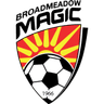 Broadmeadow Magic logo