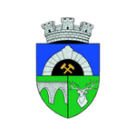Anenii Noi W logo