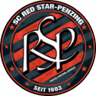 Red Star Penzing logo