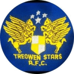 Treowen Stars logo