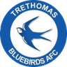 Trethomas Bluebirds logo
