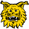 Ilves logo