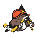 Shakhtyor Res. logo