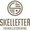Skellefteå logo