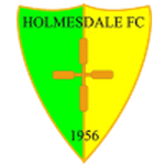 Holmesdale logo