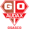 Gremio Osasco Audax logo