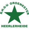 Groene Ster logo