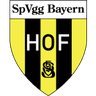 Bayern Hof logo