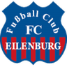 Eilenburg logo