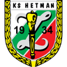 Hetman Zamosc logo