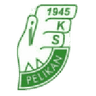 Pelikan Łowicz logo