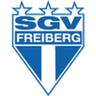 SGV Freiberg logo