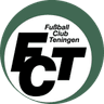 Teningen logo