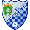 Făleşti logo