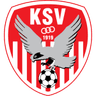 SV Kapfenberg logo