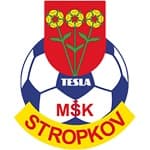MSK Tesla Stropkov logo