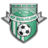 Dukagjini logo