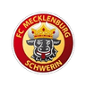 Mecklenburg Schwerin logo