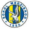 Sokol Medzibrod logo