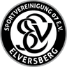 Elversberg U19 logo