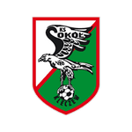 Sokół Kleczew logo