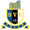 Eintracht Trier logo