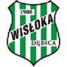 Wisłoka Dębica logo
