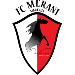 Merani Martvili II logo