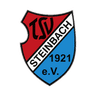 TSV Steinbach logo