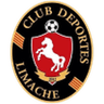 Deportes Limache logo