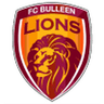 Bulleen Lions logo