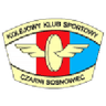 Czarni Sosnowiec W logo