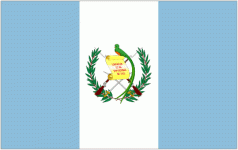 Guatemala W logo