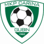 Carina Gubin logo