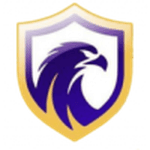 Falcon logo