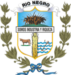 Río Negro logo