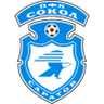 FK Sokol Saratov logo