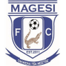 Magesi logo