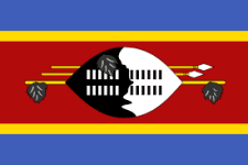 Eswatini U23 logo
