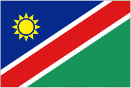 Namibia U23 logo