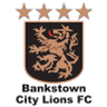 Bankstown City Lions logo