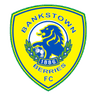 Canterbury Bankstown logo