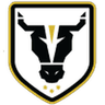 Bulls Academy logo