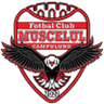 Muscelul Câmpulung Elite logo