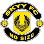 Skyy logo