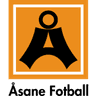 Asane logo