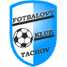 Tachov logo
