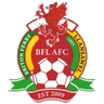 Briton Ferry logo