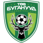 Central Stallions logo