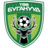Central Stallions logo